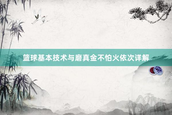 篮球基本技术与磨真金不怕火依次详解